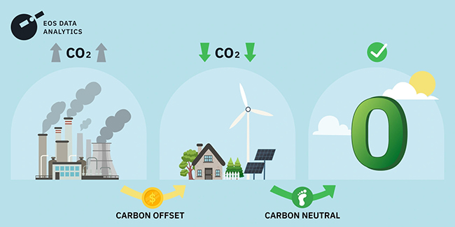 What is Carbon Offsetting? A Guide to Carbon Offsetting for Businesses